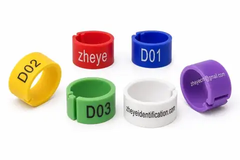 Engraved Darvic Colour Rings detail view 2