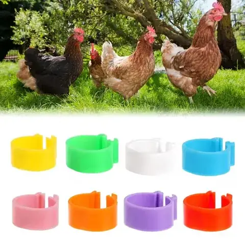 Poultry Leg Rings detail view 4