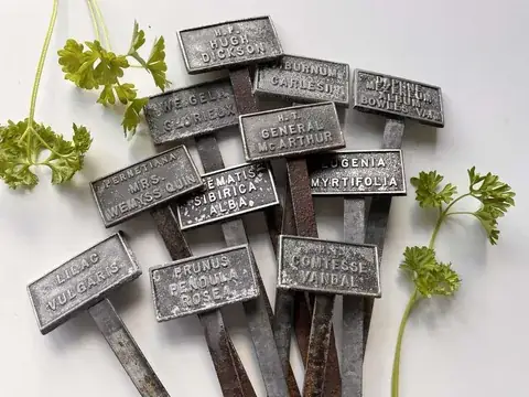 Botanical Garden Plant Labels detail view 4