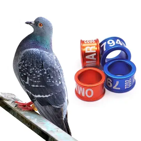 Closed Aluminum Bird Rings detail view 4