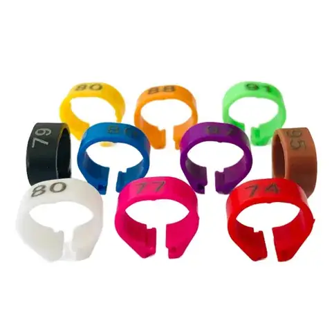 Poultry Leg Rings product image