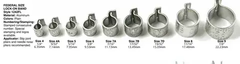 Lock-On Raptor Rings detail view 4
