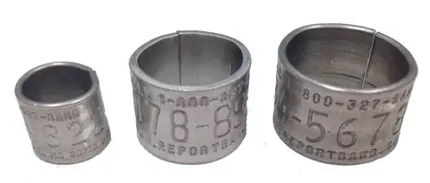 Stainless Steel Butt-End Bird Rings detail view 3
