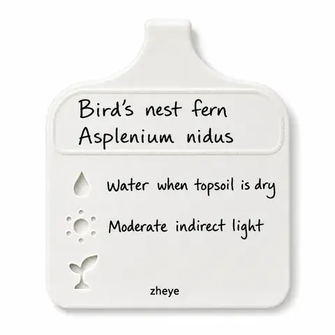 Write-On Plant Labels product image