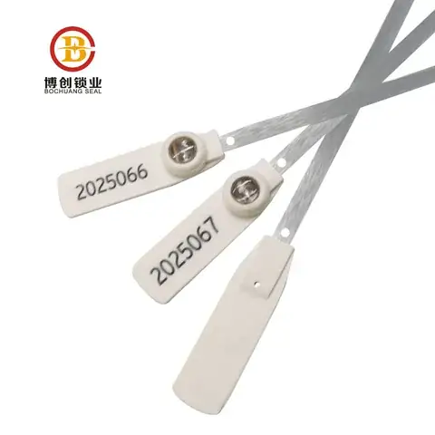 Metal Strap Security Seals detail view 6