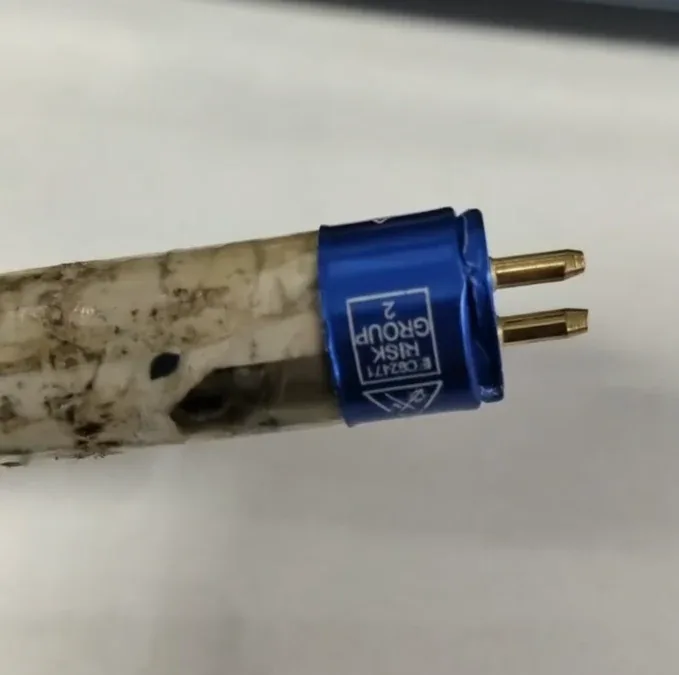 Blue lamp tube end cap carrying compact white group identification beside two electrical pins