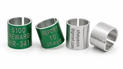 Hunt & Reward Rings detail view 2