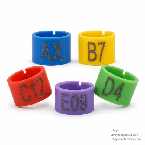 Large Engraved Readable Rings detail view 2