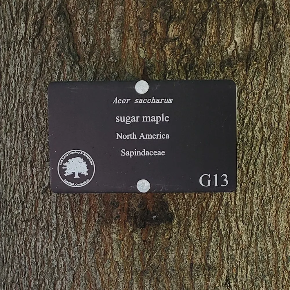Tree, Plant & Environmental Identification identification products
