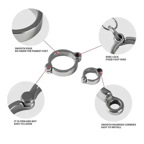 Stainless Steel Butt-End Bird Rings detail view 4
