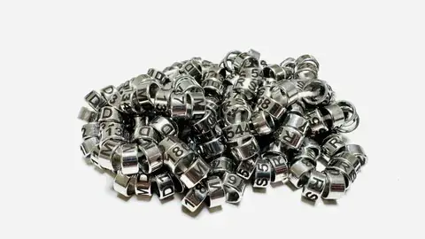 Waterfowl Stainless Steel Rings product image