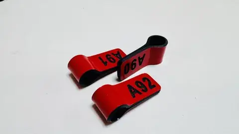 Engraved Leg Flags product image