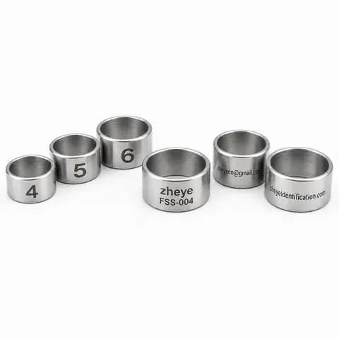 Federal-Size Stainless Steel Bird Rings detail view 2
