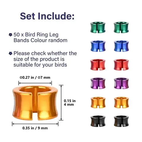 Open Stainless Steel Bird Rings detail view 3