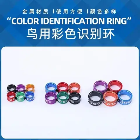 Plain Colour Combination Rings detail view 3