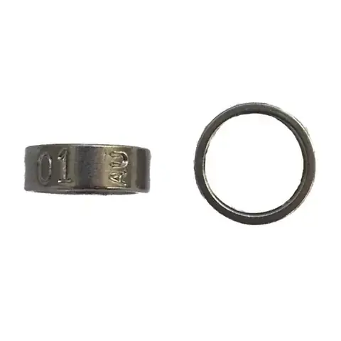 Stainless Steel Butt-End Bird Rings detail view 6