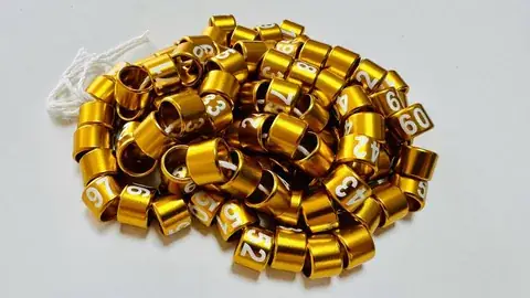 Federal-Size Aluminum Bird Rings product image