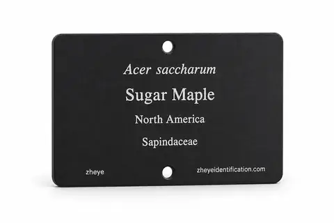 Arboretum Tree Tags product image