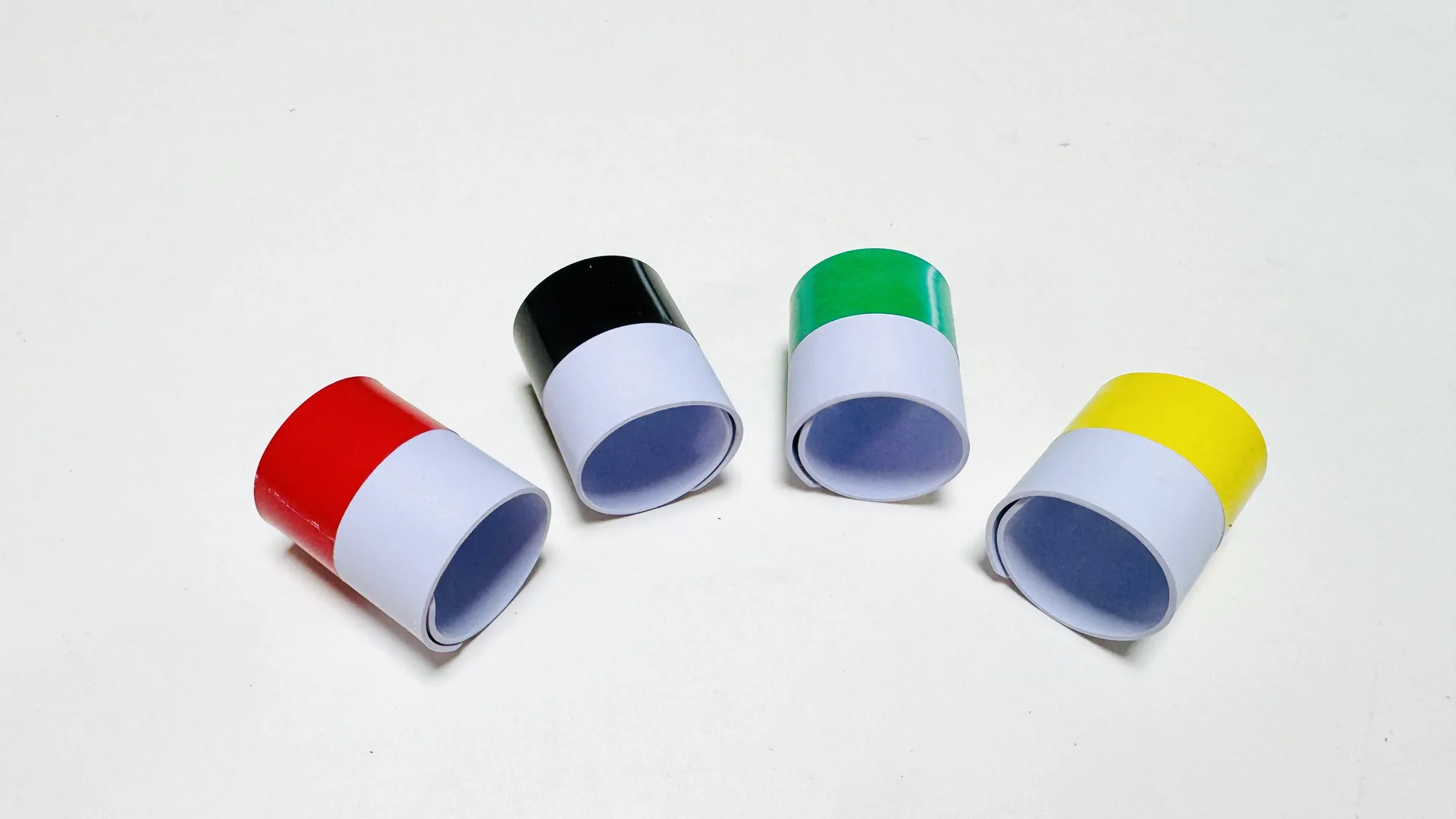 Custom Two-Colour Plastic Raptor Rings for Great Bustard Research case study image
