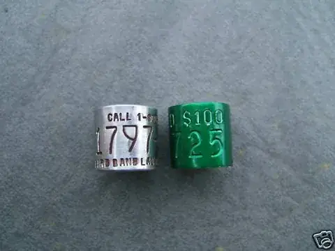 Hunt & Reward Rings product image