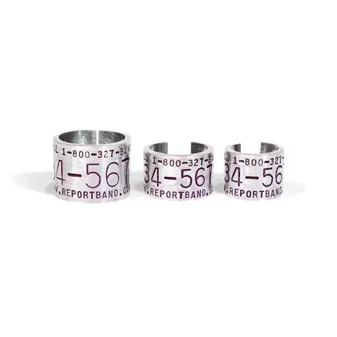 Hunt & Reward Rings detail view 3