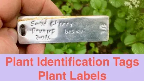 Write-On Plant Labels detail view 4