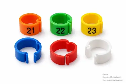 Plastic Spiral Rings detail view 2